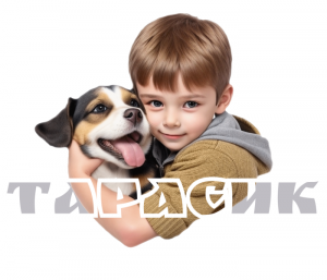 Наліпка Хлопчик Тарасик