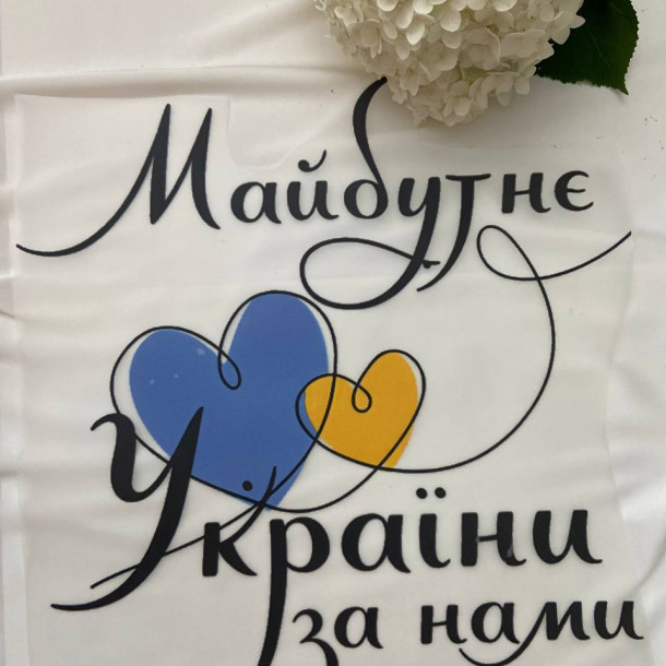 ДТФ наліпка Майбутнє України за нами