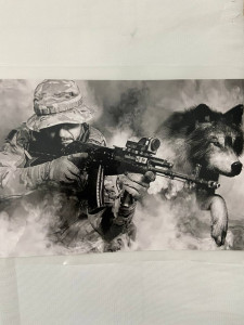 Термоналіпка емблема ССО