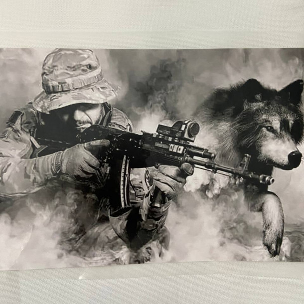 Термоналіпка емблема ССО