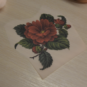 Червоний клематис