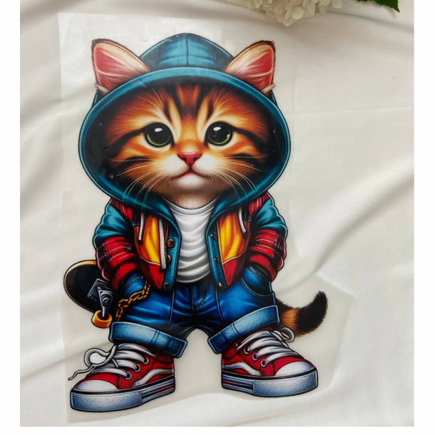 DTF наклейка на одяг Кіт-скейтер