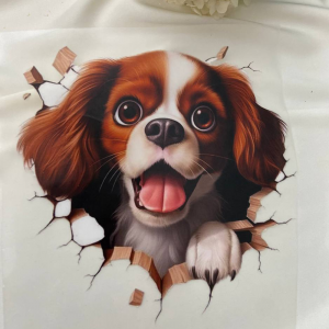 Песик Кавалер кінг чарльз