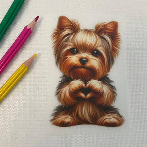 Улюблений Йорк